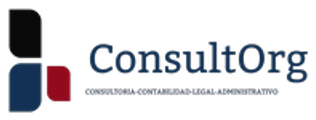 ConsultOrg logo